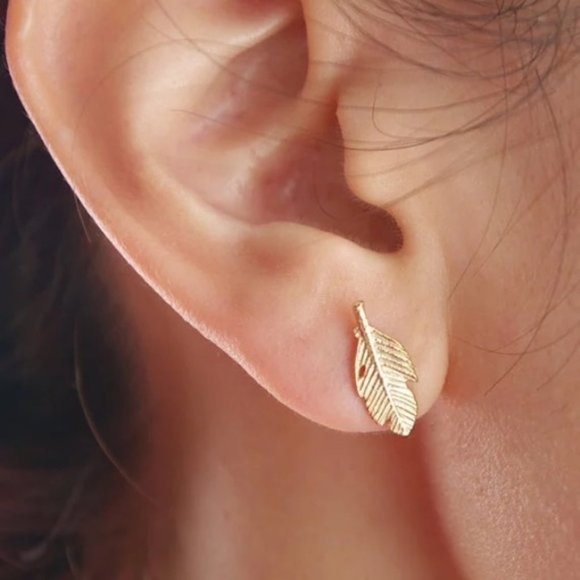 Jewelry - NWOT Gold Leaf Feather Studs
